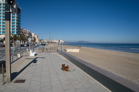 Oropesa del Mar